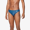 Printed Solar Brief