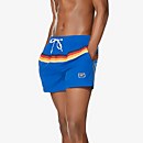 Vibe Colorblock Volley 14"