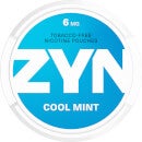 ZYN® Cool Mint 6mg