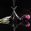Bloomeffects Black Tulip Cryotherapy Tools