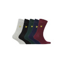 Socks 5 Pack - Black/Pine Grove/Peacoat/Grey Marl/Wine Tasting