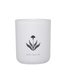 Damselfly Good Vibes Scented Candle - 300g