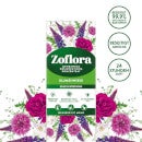 Blumenwiese Mehrzweck Desinfektionsmittel-Konzentrat 3x500 ml Vorteilspack