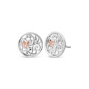 Clogau Hummingbird Stud Earrings