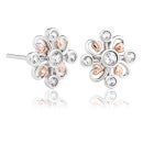 Clogau Tree of Life Clover Stud Earrings