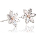 Clogau Lady Snowdon Stud Earrings