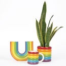 DOIY Rainbow Ceramic Vase