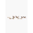 Butterfly Stud & Hoop Earring Set