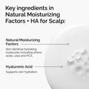 The Ordinary Hair Care Natural Moisturising Factors and HA 60ml
