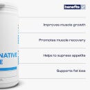 Native Whey Isolate (Low Lactose)