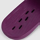 Women's Speedo Slide Purple