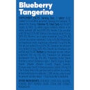 Nuun Immunity Blueberry Tangerine 4 Pack