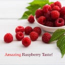 Dr Formulated Magnesium – Raspberry – 60 Gummies