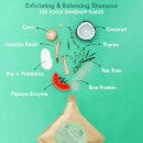 The Powder Shampoo Exfoliating & Balancing Shampoo 100g Refill Pack (Thyme & Tea Tree)