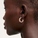 Ted Baker Senatta Crystal Gold-Tone Hoop Earrings