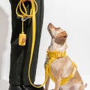 Wild One Dog Harness Walk Kit - Butter Yellow - XS