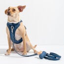 Wild One Dog Harness Walk Kit - Navy - XS
