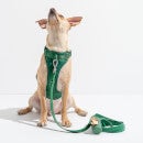 Wild One Dog Harness Walk Kit - Spruce - XS