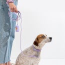 Wild One Dog Collar Walk Kit - Lilac - S
