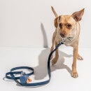 Wild One Dog Collar Walk Kit - Navy - S