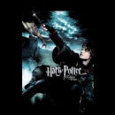 Sudadera con capucha Goblet Of Fire de Harry Potter - Negro