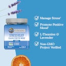 Dr. Formulated Stress Relief Gummies 60ct (Berry Citrus)