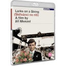 Larks On A String Blu-ray