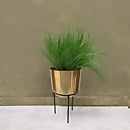 Plant on sale stand homebase