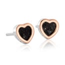 Heart of Wales Preseli Bluestone Earrings