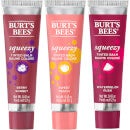 Burt's Bees Squeezy Tinted Lip Balm Gift Set