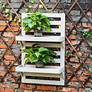 Plant on sale stand homebase