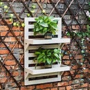 Plant store stand homebase
