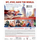 DC League of Super-Pets (Includes DVD + Digital)