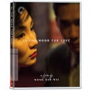 In The Mood For Love (2000) (Criterion Collection)