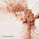 ISDIN ISDINCEUTICS Mineral Brush 100% Mineral Powder Matte Finish with Zinc Oxide 0.14 oz