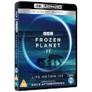 Frozen Planet II 4K Ultra HD