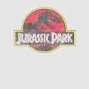Jurassic Park Logo Vintage Men's T-Shirt - Grey