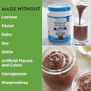 Orgain Organic Protein + Oat Milk Protein Powder - Chocolate