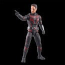 Hasbro Ant-Man & the Wasp: Quantumania Marvel Legends Series Ant-Man Action Figure