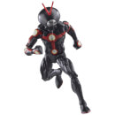 Hasbro Ant-Man & the Wasp: Quantumania Marvel Legends Series Future Ant-Man Action Figure