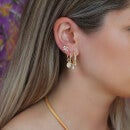 anna + nina Single Antique Soul Gold-Plated Stud Earring