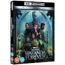 Black Panther: Wakanda Forever 4K Ultra HD (Includes Blu-ray)