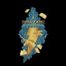 Shazam! Fury of the Gods Realm Of The Gods Hoodie - Black
