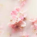 Rituals The Ritual of Sakura Floral Cherry Blossom & Rice Milk Recovery Hand Balm 70ml