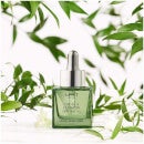 NEST New York Indian Jasmine Perfume Oil 30ml