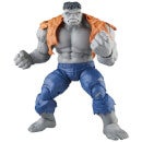 Hasbro Marvel Legends Series Gray Hulk and Dr. Bruce Banner Action Figures
