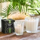 NEST New York Coconut and Palm Classic Candle 230g