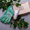 William Morris At Home Christmas 2023 Golden Lily Gardening Gloves Set