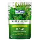 Bioglan Super Foods Supergreens 70g
