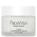 FaceWise Face Care Melting Cleansing Balm 80ml